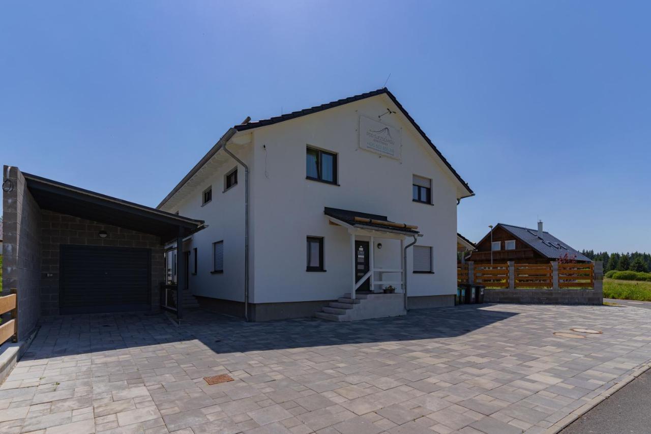 Apartmany Pod Sjezdovkou アベルタミ エクステリア 写真